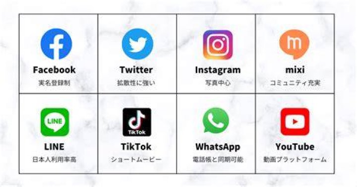 日本のSNSでバイラルするミーム画像