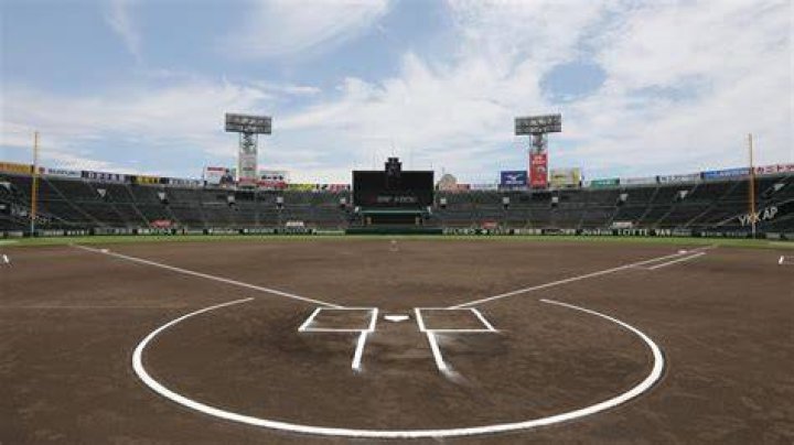 甲子園 高校野球 夏の熱戦